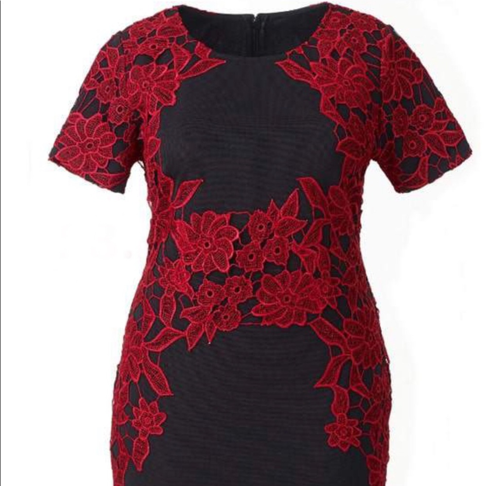 Lace Panel Bodycon Dress